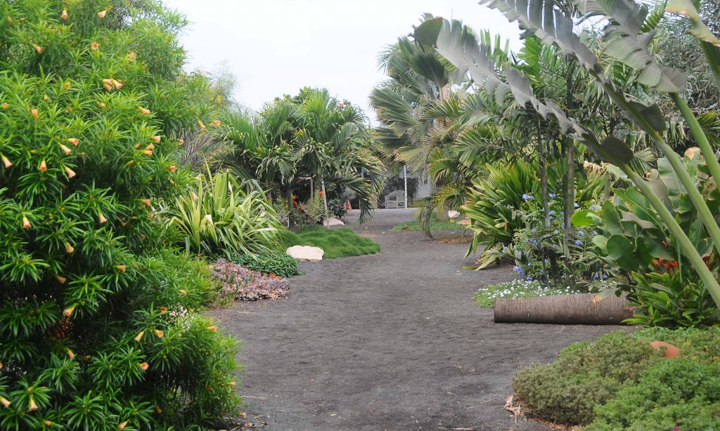 Viveiro Gardens | Cape Verde Gardsn & National Parks | The Resort Group PLC